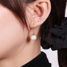 Load image into Gallery viewer, Fashion Silver Stur Earring for women